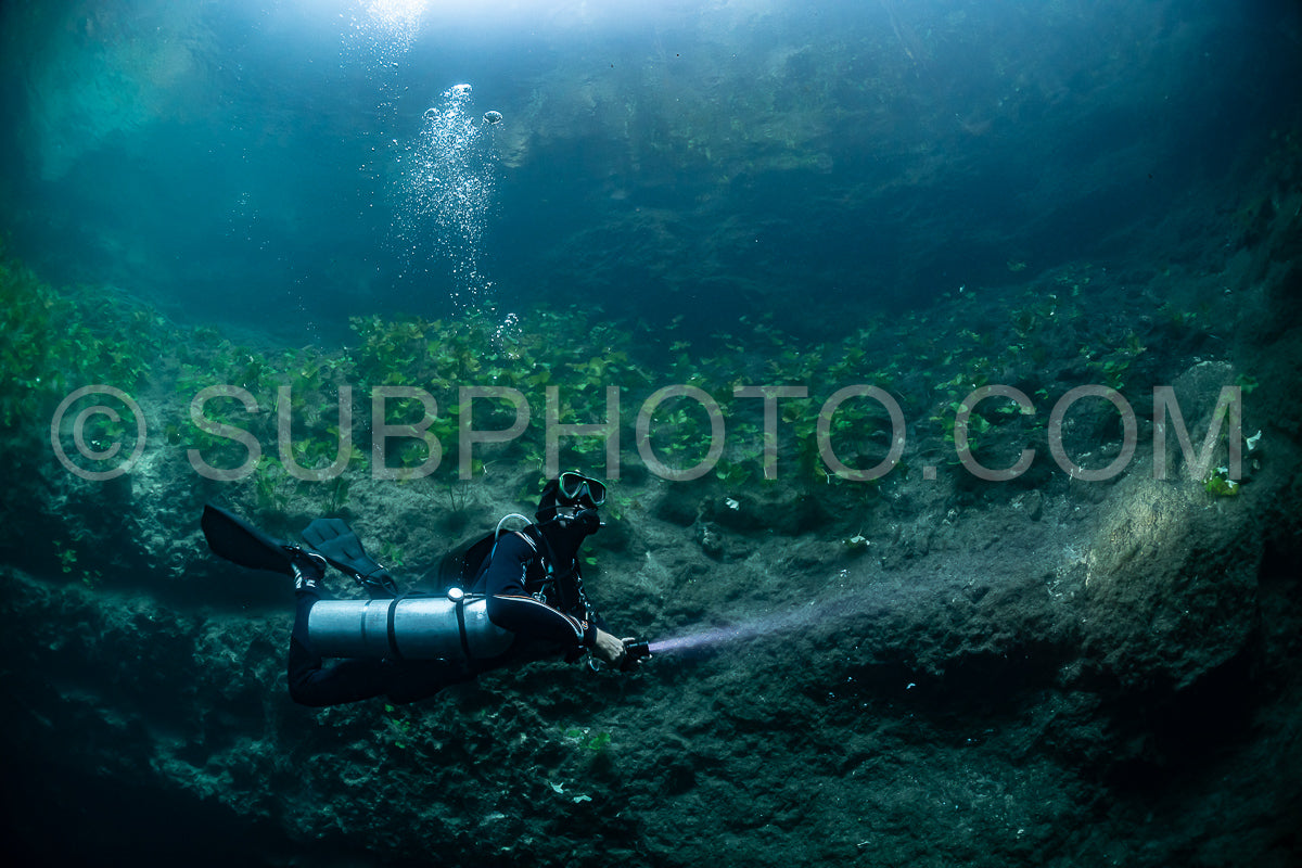 Photo de instructeur de plongée spéléo dirigeant un groupe de plongeurs dans un cenote mexicain sous l'eau