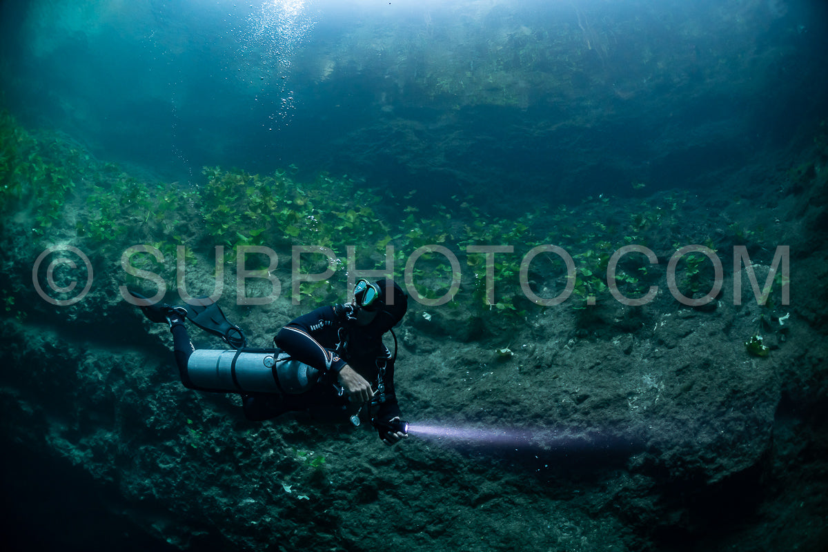 Photo de instructeur de plongée spéléo dirigeant un groupe de plongeurs dans un cenote mexicain sous l'eau