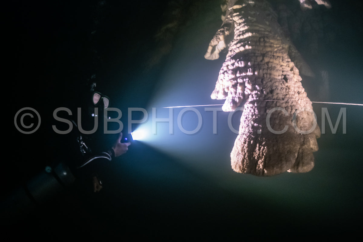Photo de instructeur de plongée spéléo dirigeant un groupe de plongeurs dans un cenote mexicain sous l'eau