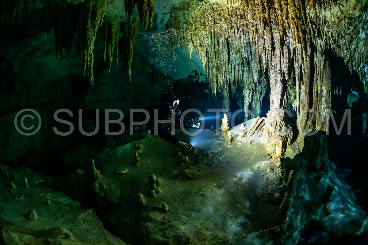 Photo de instructeur de plongée spéléo dirigeant un groupe de plongeurs dans un cenote mexicain sous l'eau