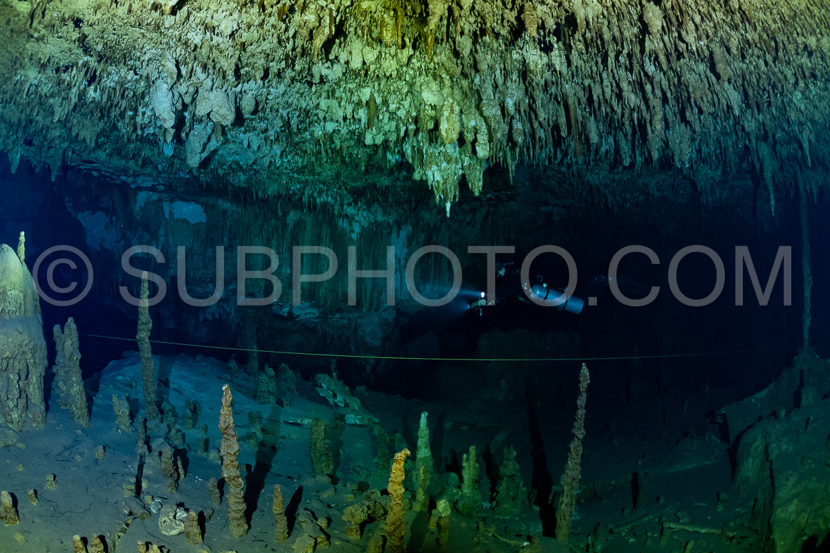 Photo de instructeur de plongée spéléo dirigeant un groupe de plongeurs dans un cenote mexicain sous l'eau