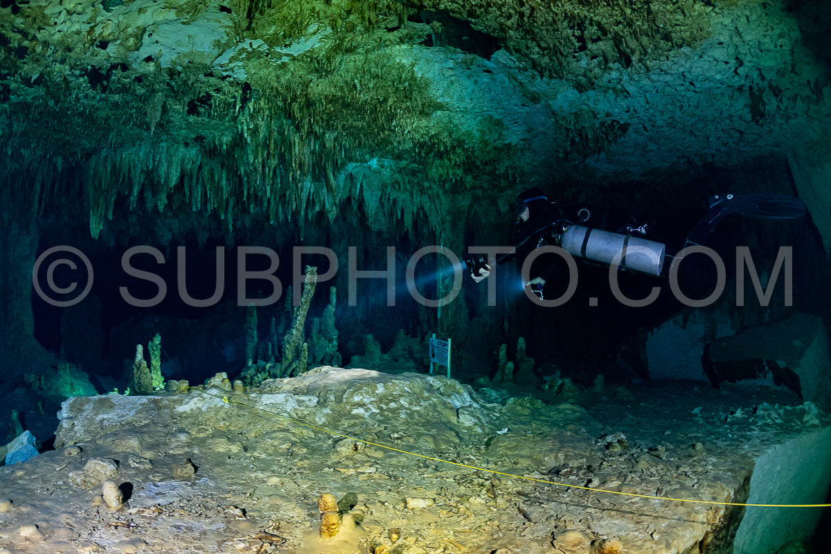 Photo de instructeur de plongée spéléo dirigeant un groupe de plongeurs dans un cenote mexicain sous l'eau