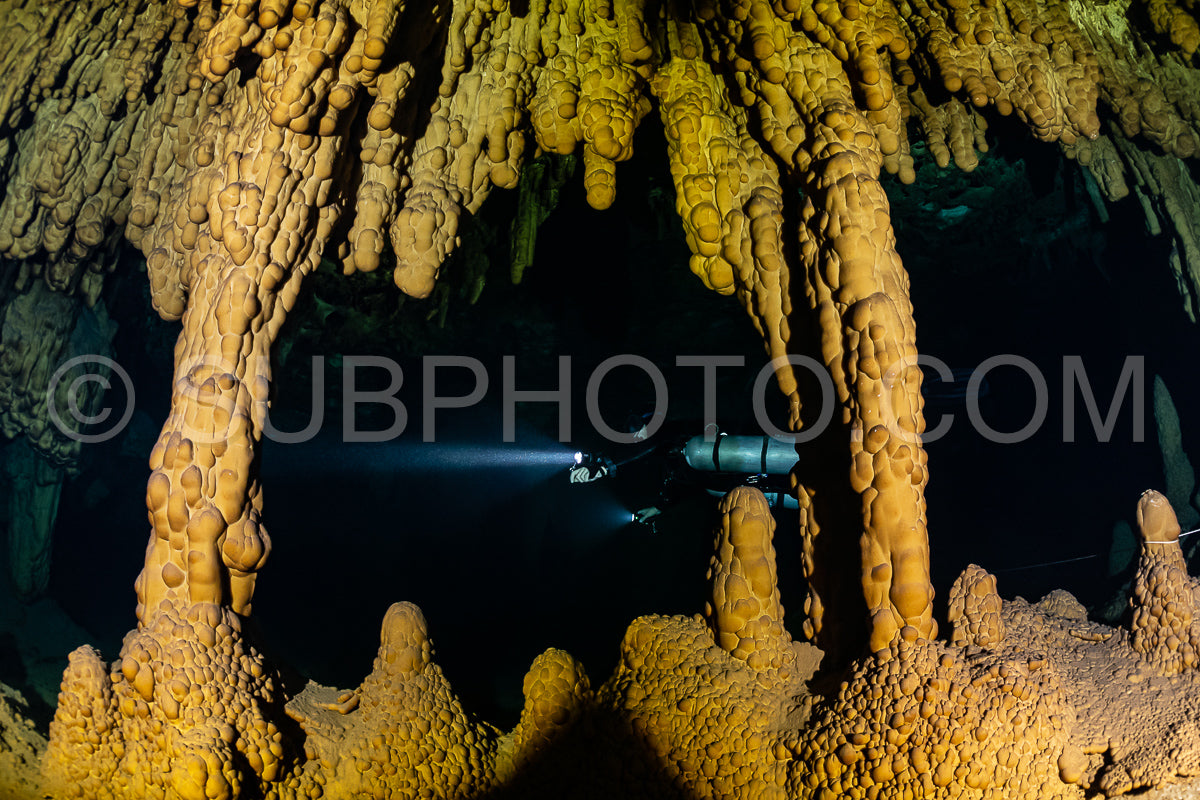 cave diver instructor leading a group of divers in a mexican cenote underwater