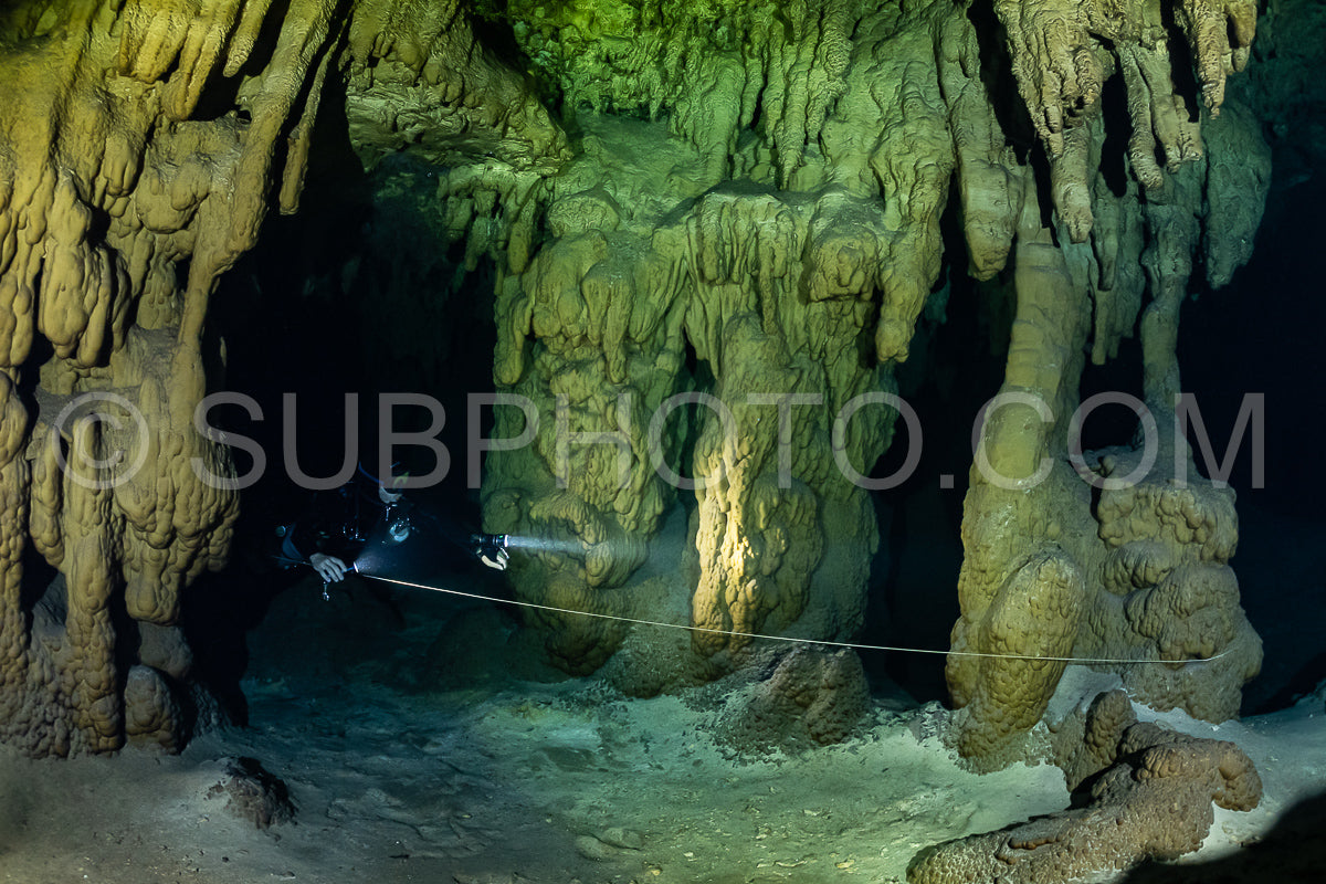 Photo de instructeur de plongée spéléo dirigeant un groupe de plongeurs dans un cenote mexicain sous l'eau