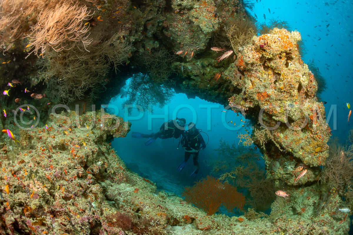 two divers under a coral arch
