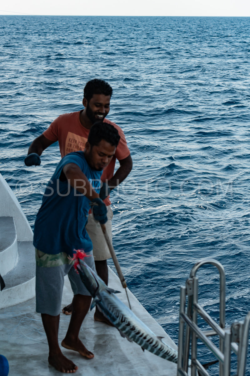 Maldivesfriends2022