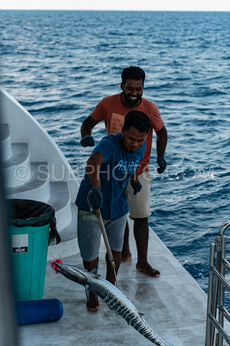 Maldivesfriends2022