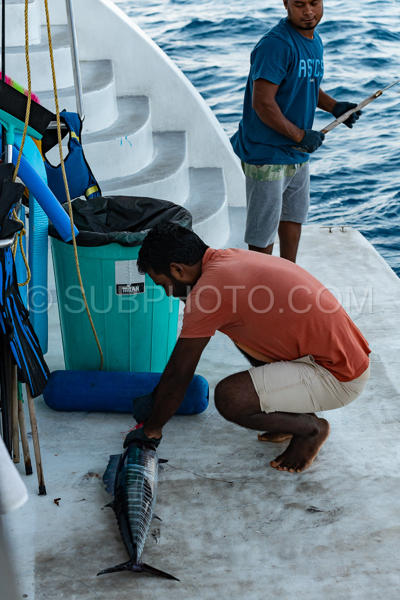 Maldivesfriends2022