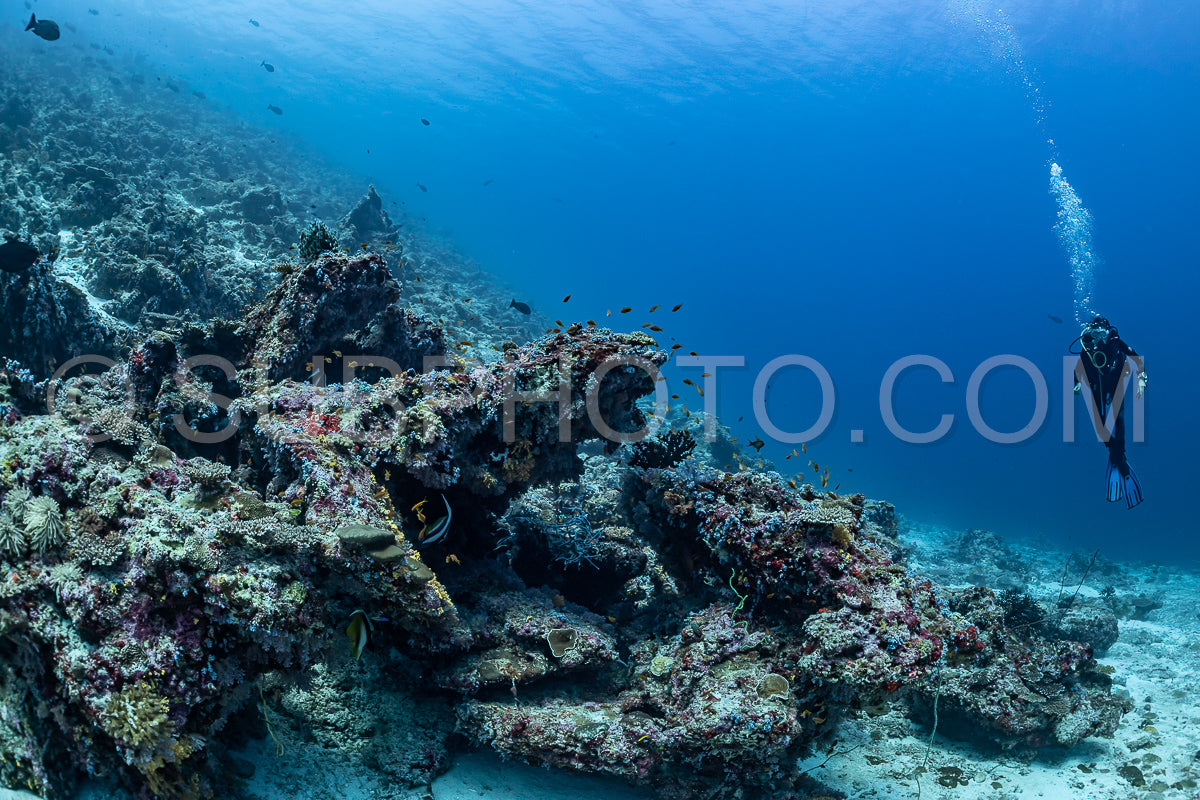 Photo de femme plongeuse visitant un récif corallien