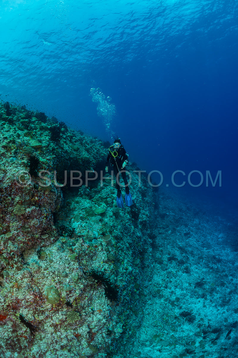 woman diver visiting a coral reef