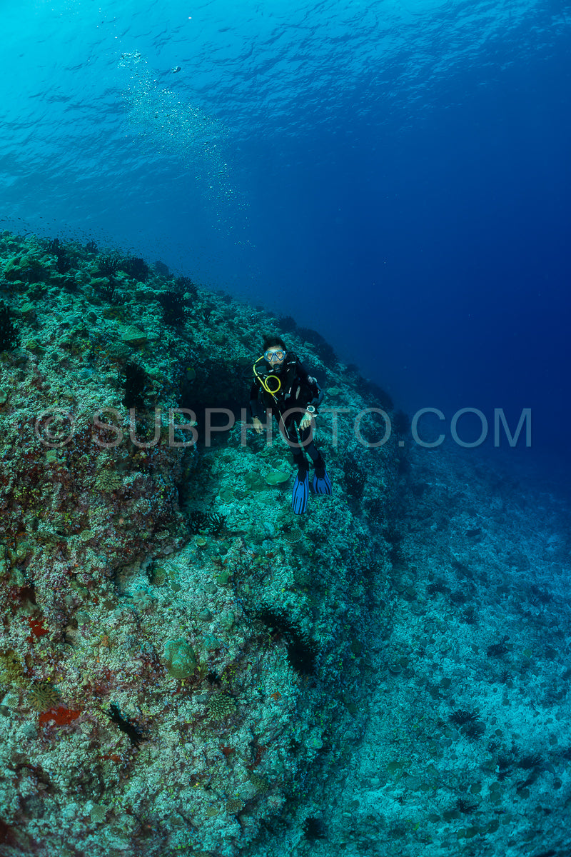 woman diver visiting a coral reef