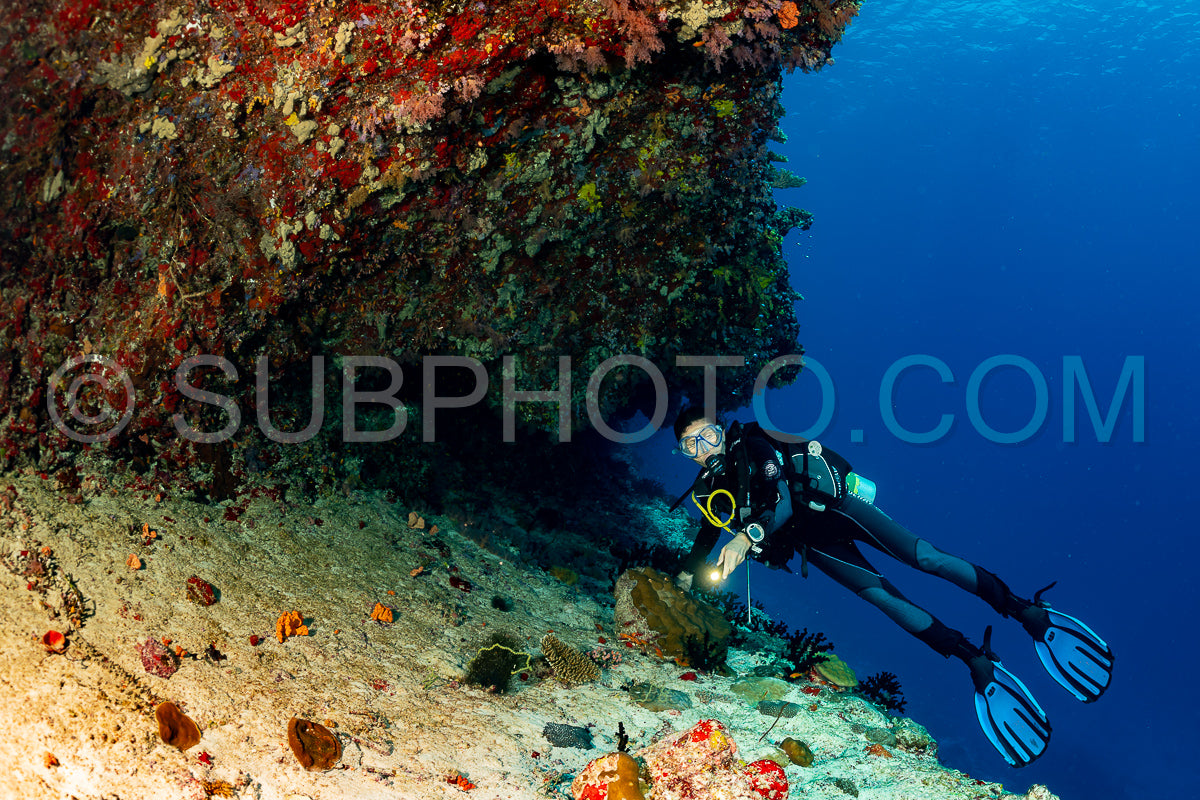 woman diver visiting a coral reef