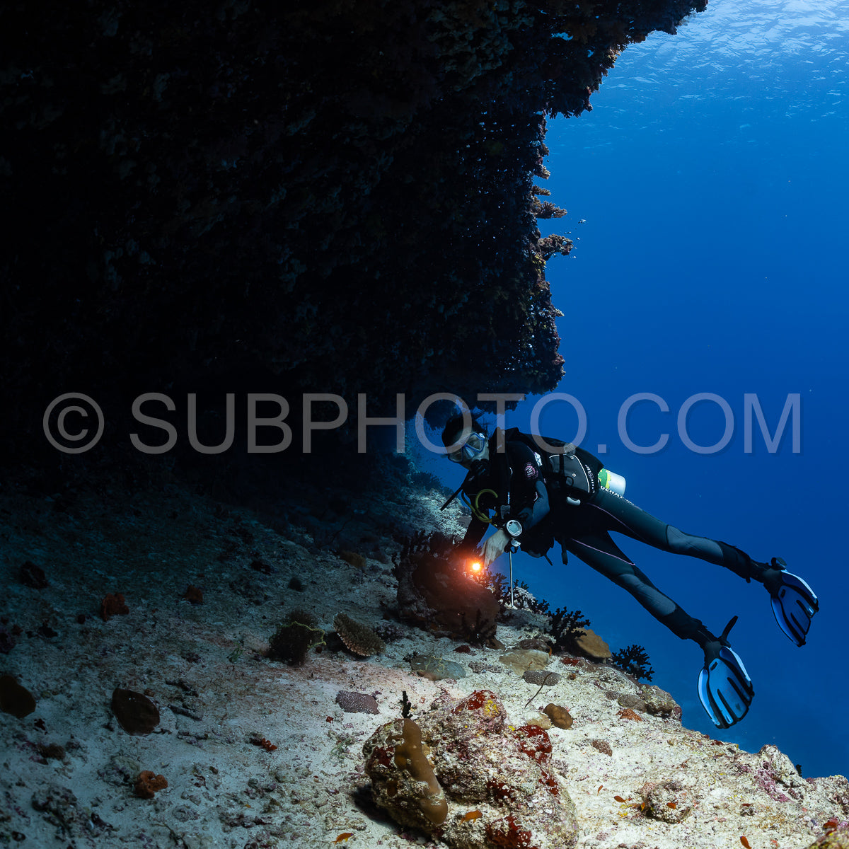 woman diver visiting a coral reef