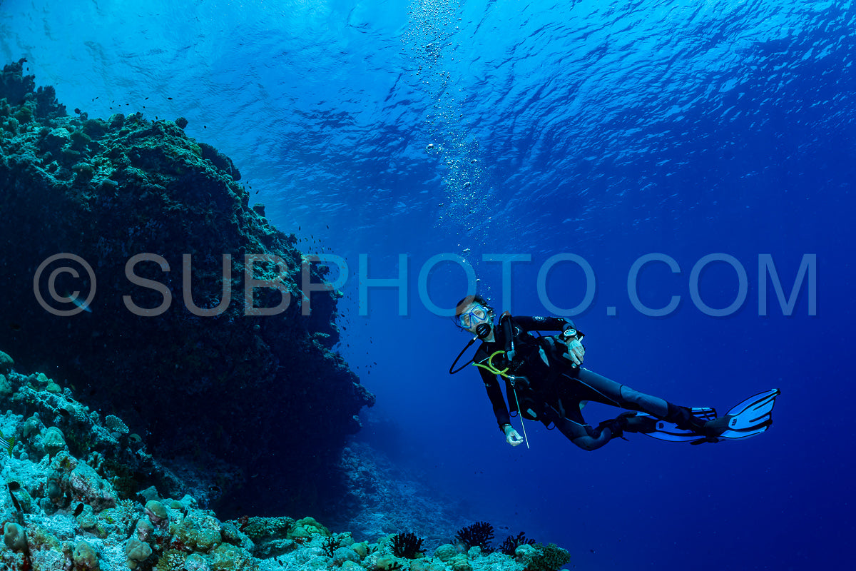 woman diver visiting a coral reef