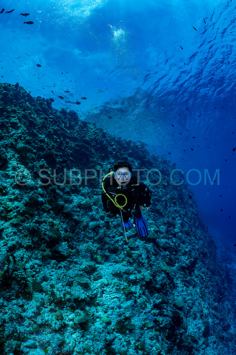 woman diver visiting a coral reef