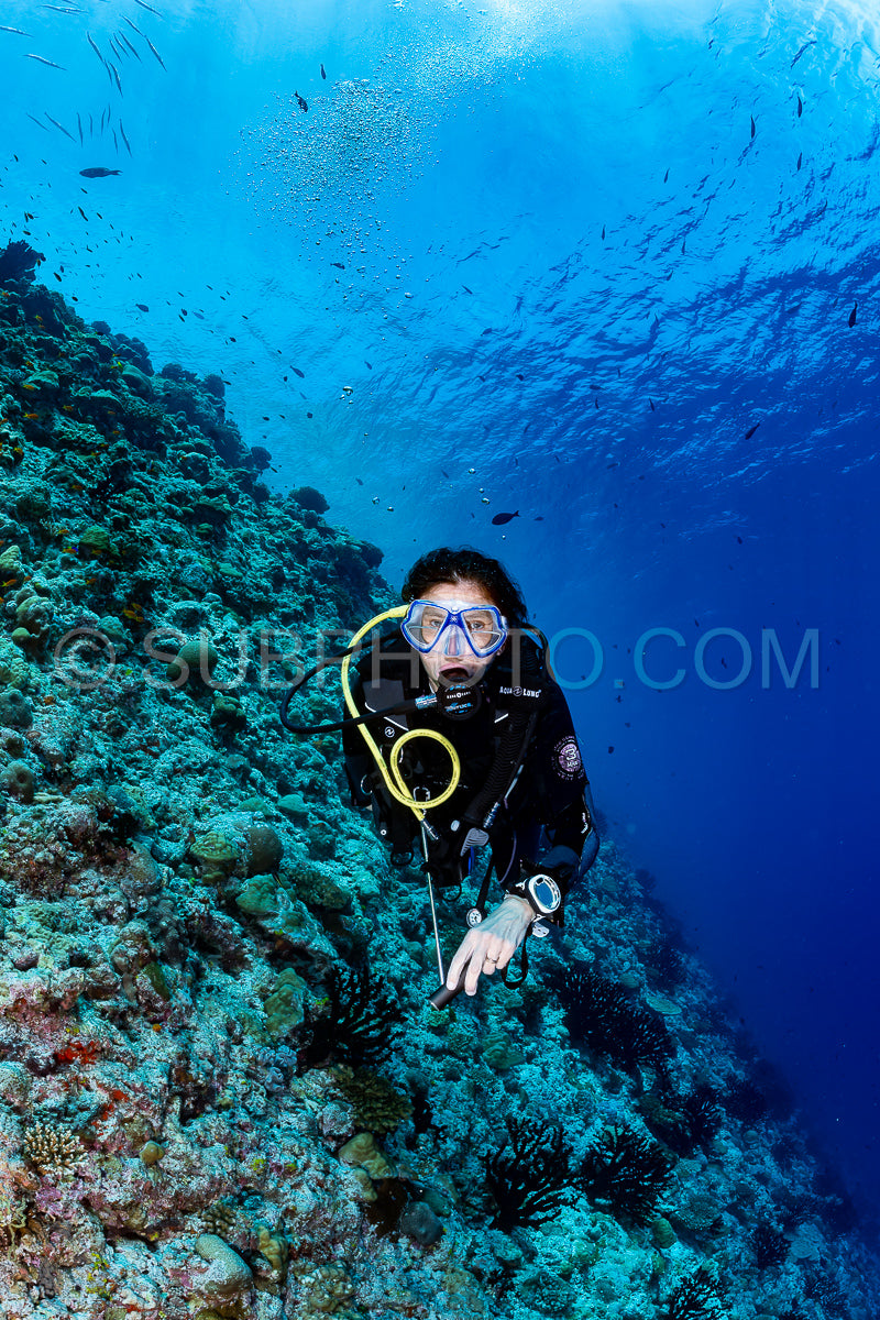 woman diver visiting a coral reef