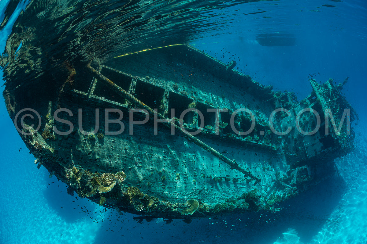 diver and wreck in the Maldives