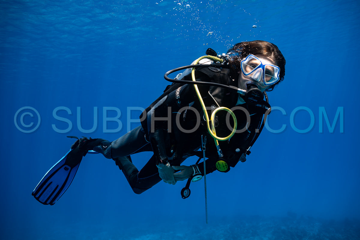 woman diver visiting a coral reef