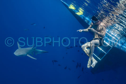 Photo de Un plongeur avec tuba nageant avec un requin-nourrice aux Maldives