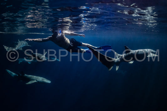 Photo de Plongeur avec tuba nageant avec un requin nourrice la nuit aux Maldives