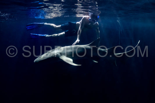 Photo de Plongeur avec tuba nageant avec un requin nourrice la nuit aux Maldives
