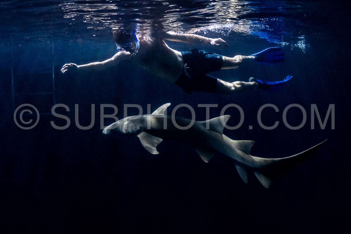 snorkeler swimming with nurse shark at night in the Maldives