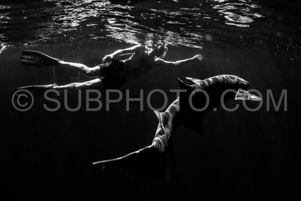 Photo de Plongeur avec tuba nageant avec un requin nourrice la nuit aux Maldives