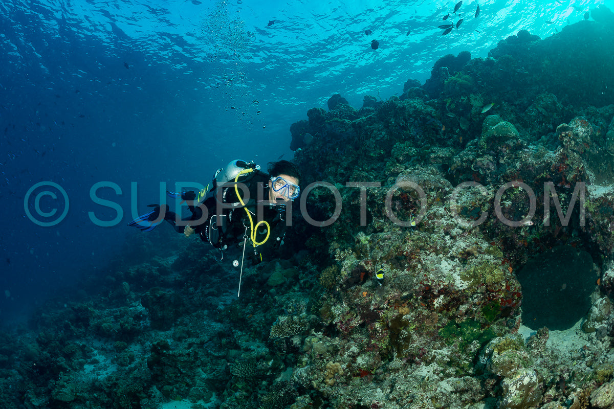 woman diver visiting a coral reef