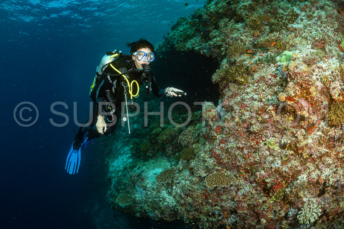 woman diver visiting a coral reef