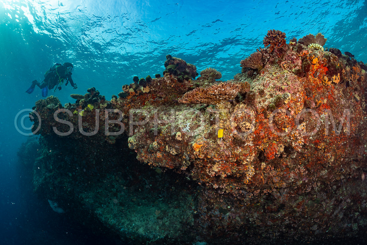 woman diver visiting a coral reef