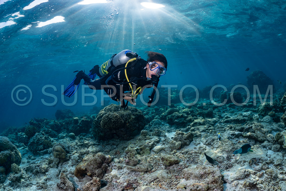 woman diver visiting a coral reef