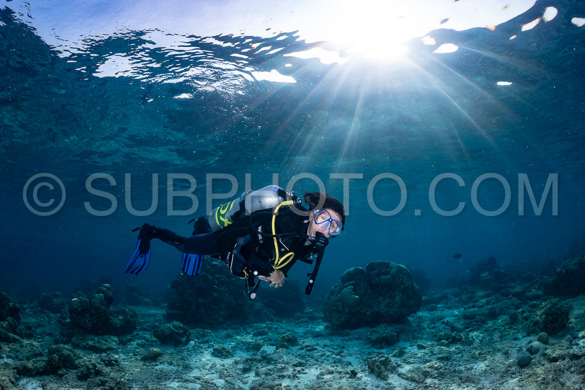 woman diver visiting a coral reef
