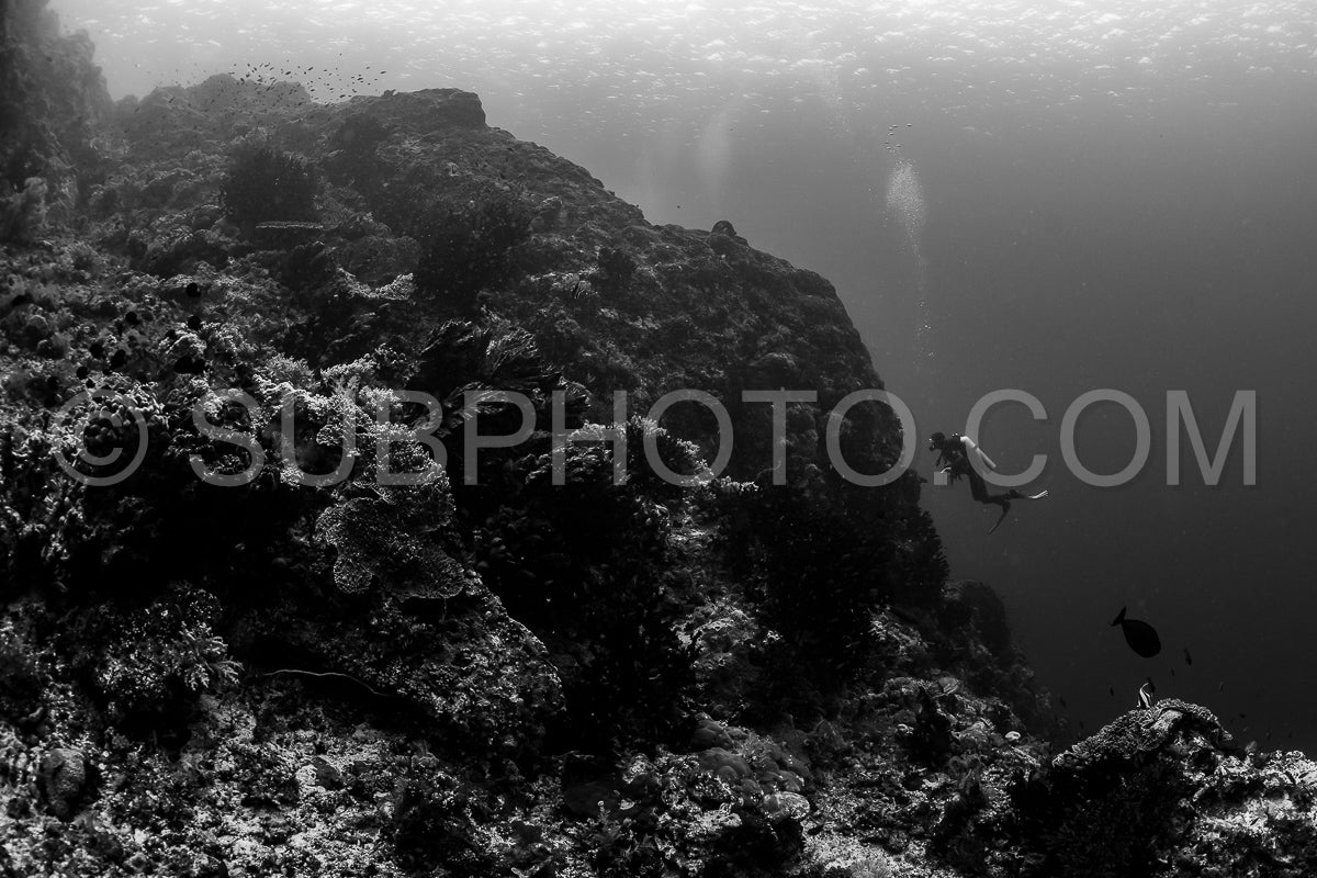 woman diver discovering the beauty of the Komodo National Park caral reef in Indonesia