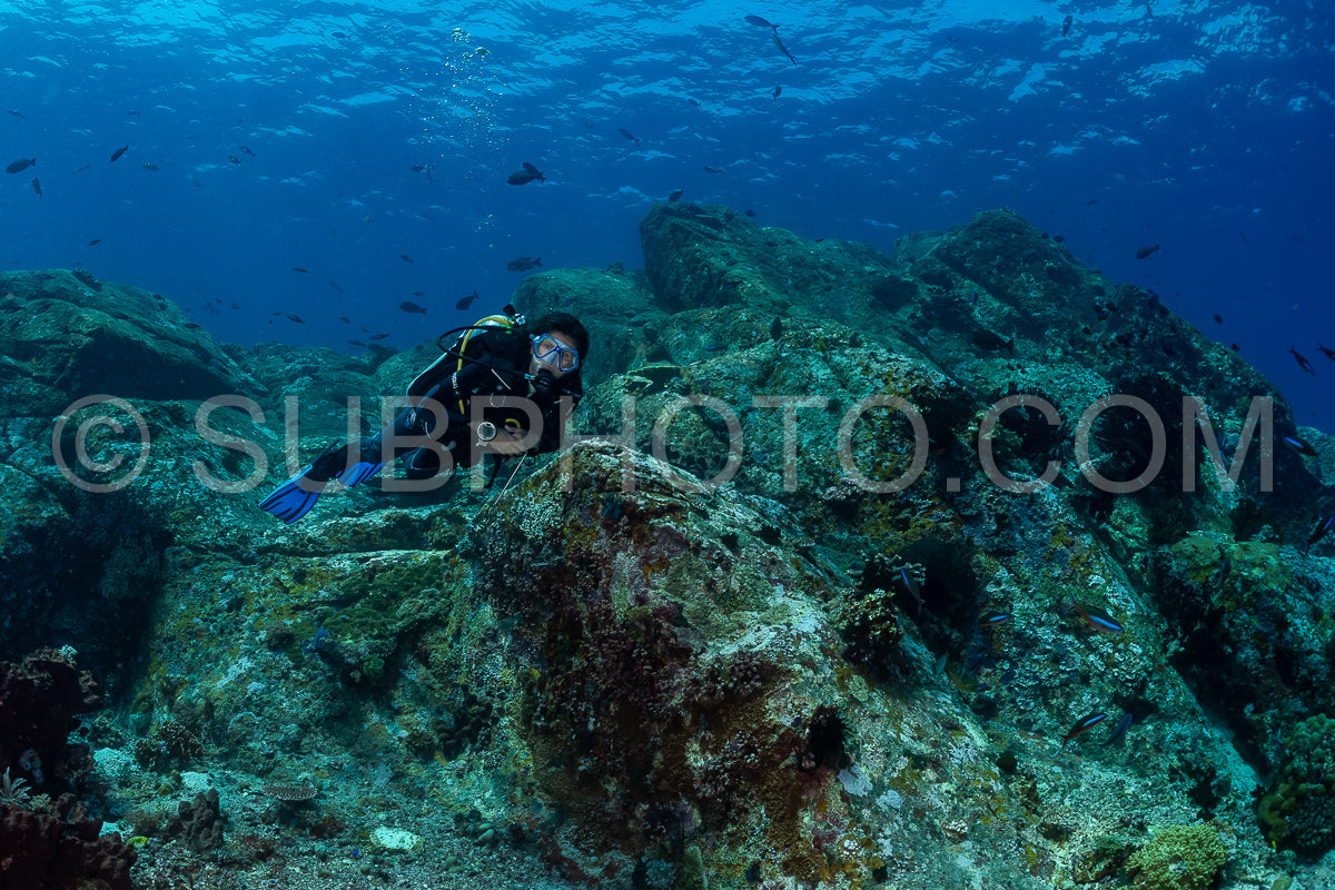 woman diver discovering the beauty of the Komodo National Park caral reef in Indonesia
