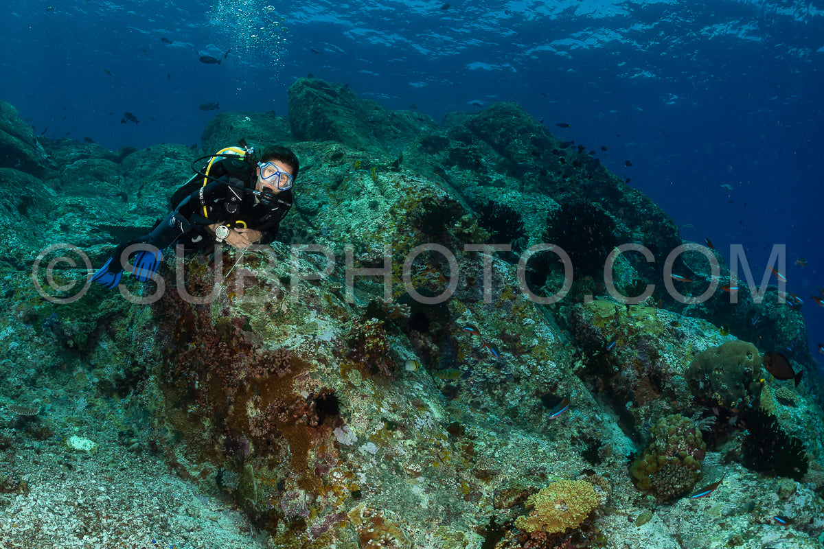woman diver discovering the beauty of the Komodo National Park caral reef in Indonesia