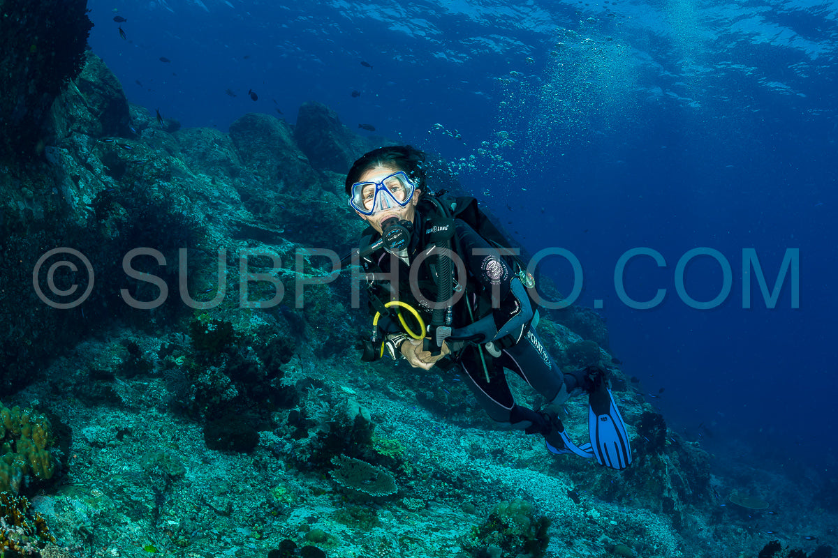 Photo de femme plongeuse découvrant la beauté du récif caral du parc national de Komodo en Indonésie