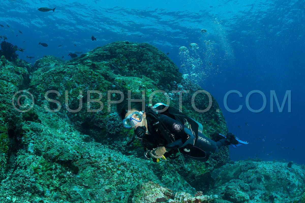 woman diver discovering the beauty of the Komodo National Park caral reef in Indonesia