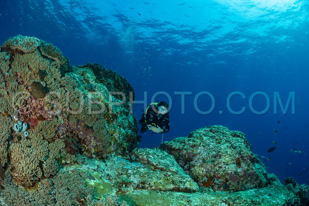 woman diver discovering the beauty of the Komodo National Park caral reef in Indonesia