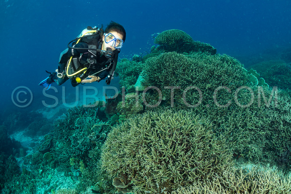 woman diver discovering the beauty of the Komodo National Park caral reef in Indonesia