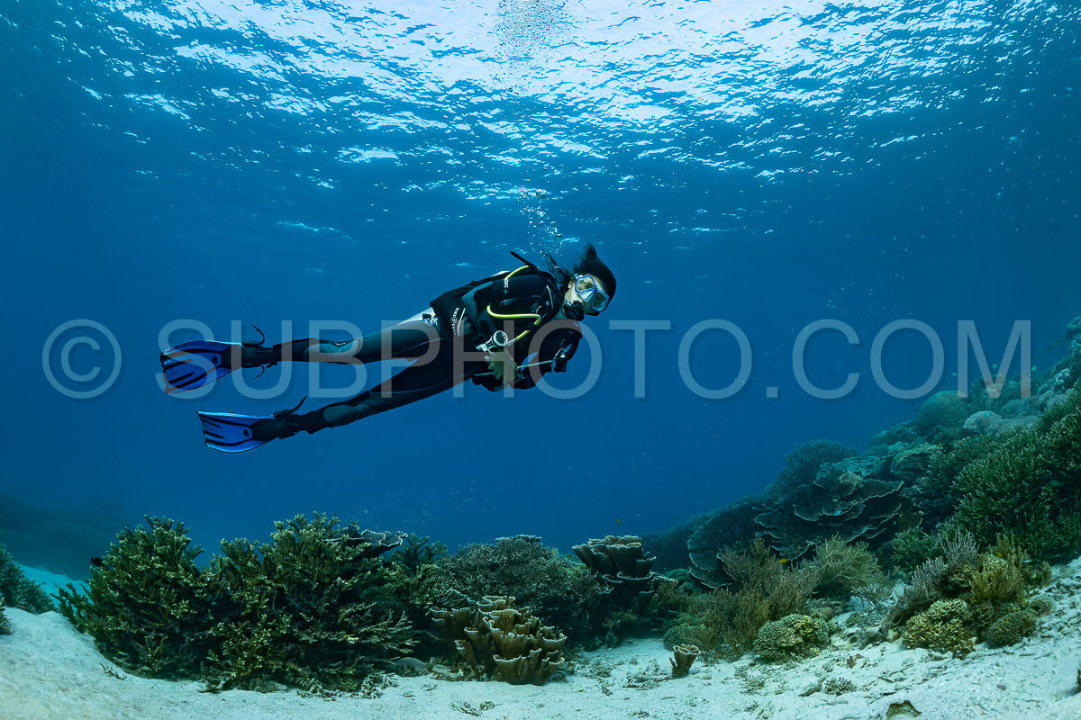 woman diver discovering the beauty of the Komodo National Park caral reef in Indonesia