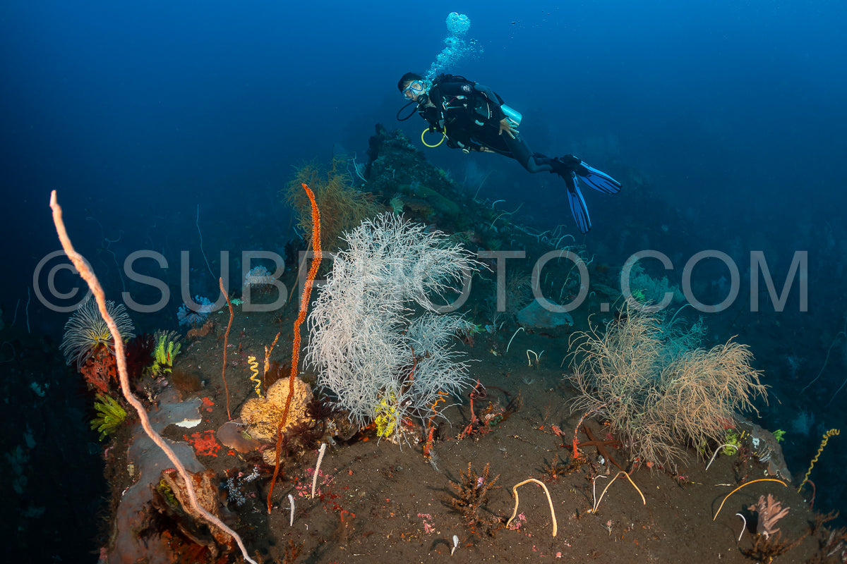 woman diver over a coral reef with volcanic black sand