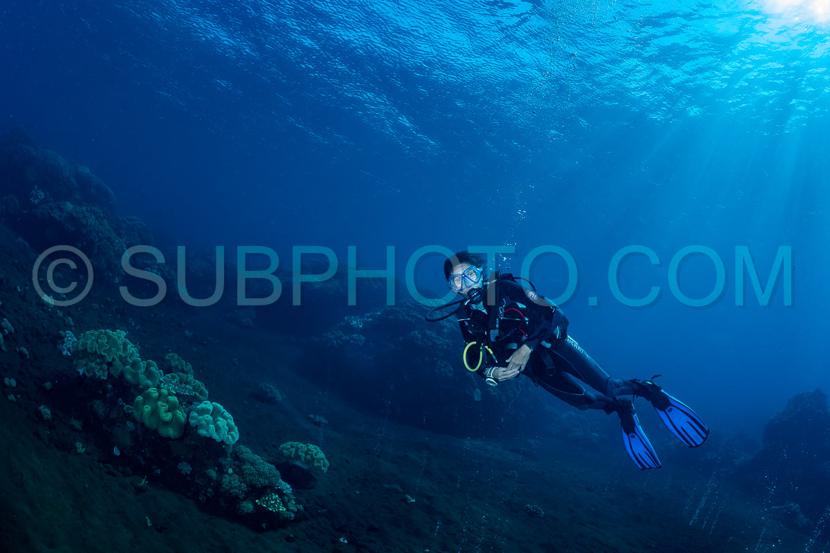 Photo de femme plongeuse regardant une bulle de gaz provenant du volcan Pulau Sangeang