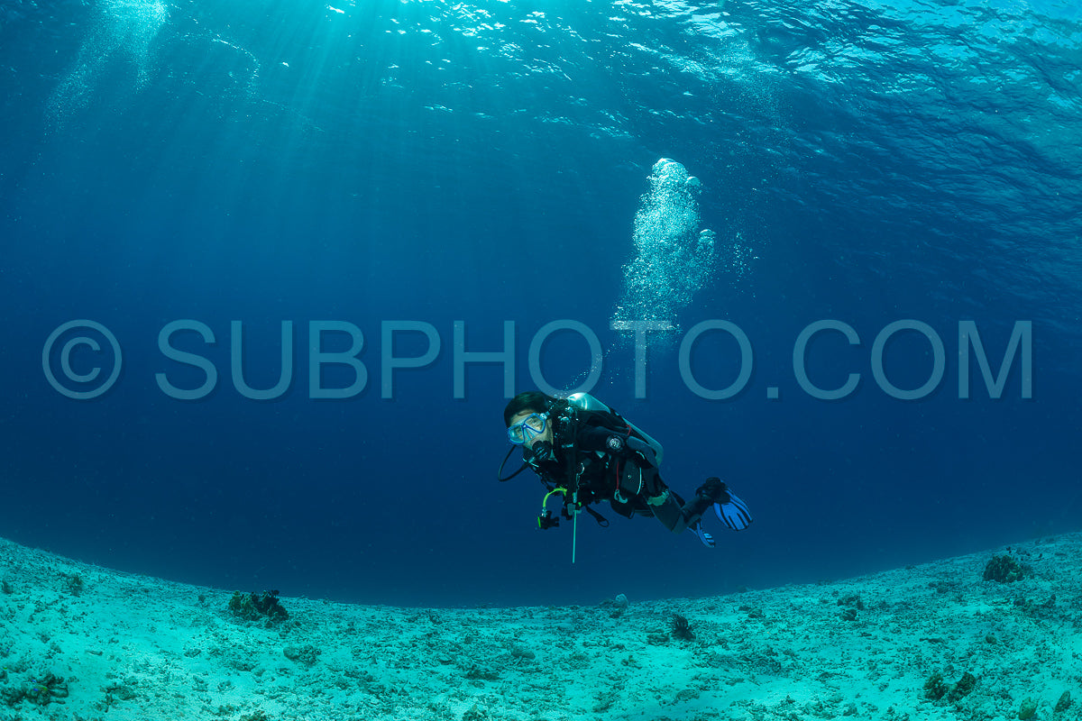 woman diver over a coral reef