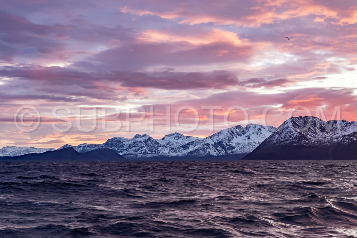 view of Kvænangen fjord from Seglvik village at dusk