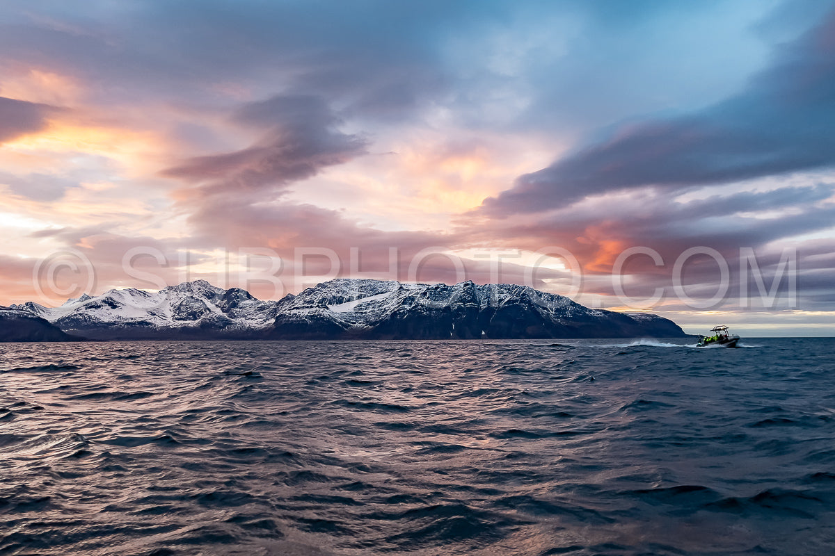 view of Kvænangen fjord from Seglvik village at dusk