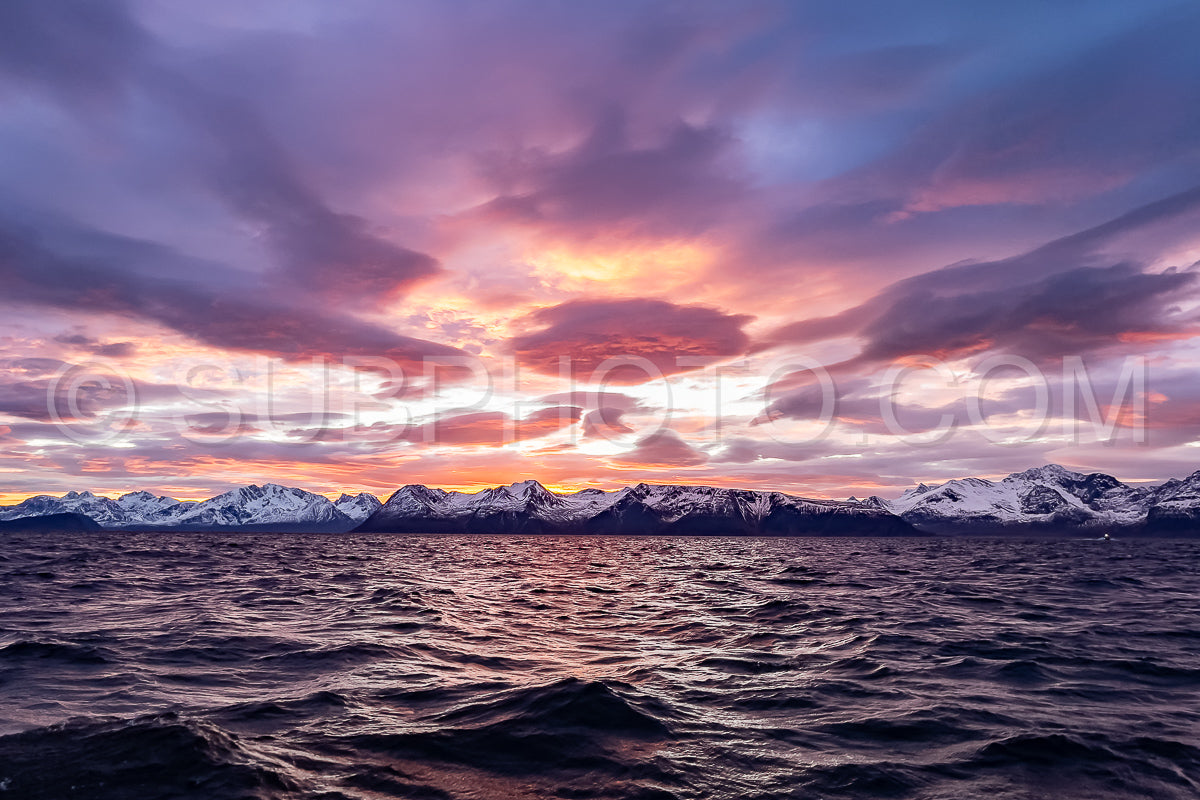 view of Kvænangen fjord from Seglvik village at dusk