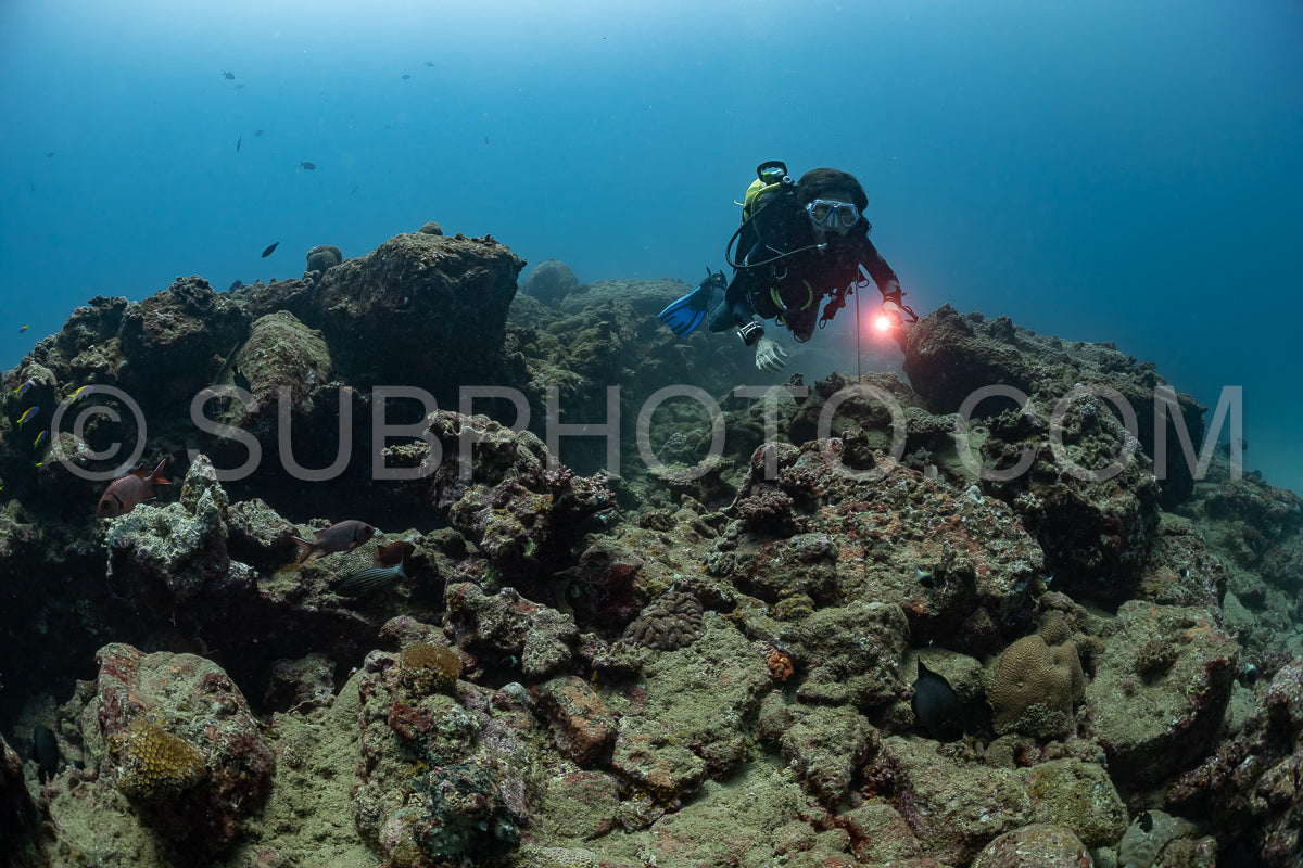 woman diver visiting a coral reef