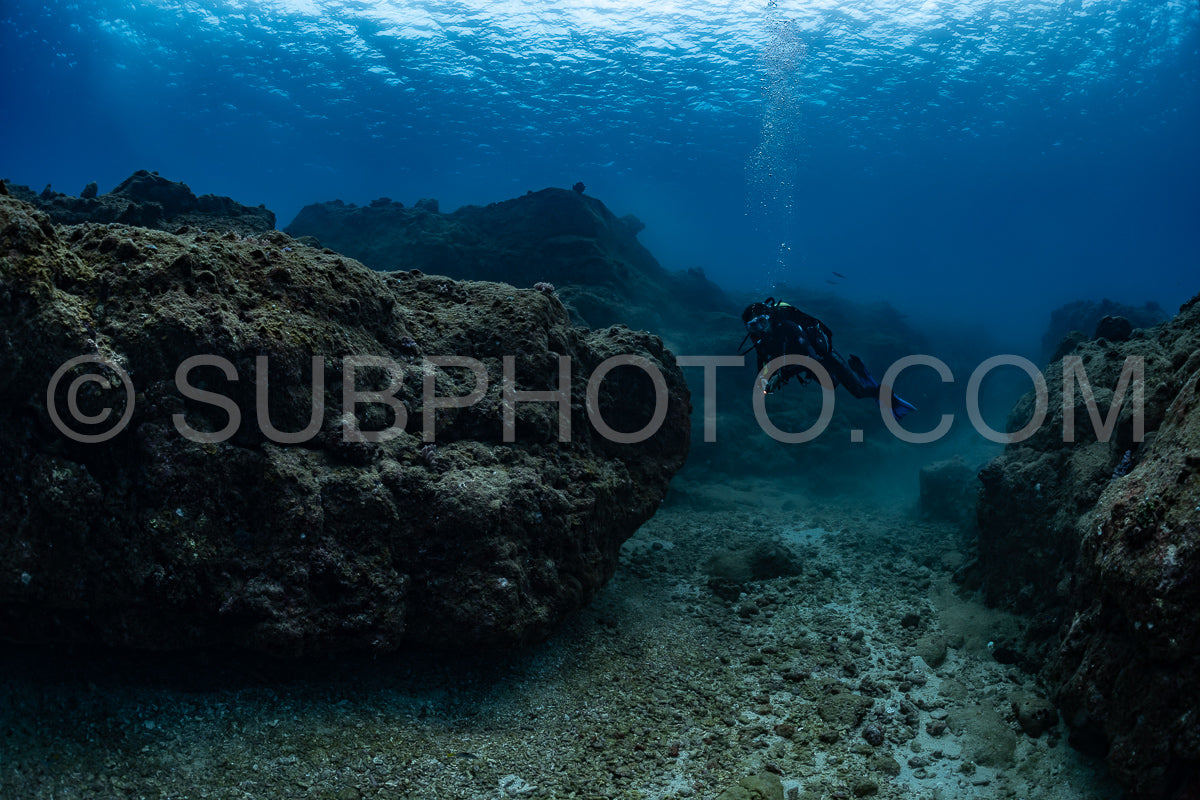 woman diver visiting a coral reef
