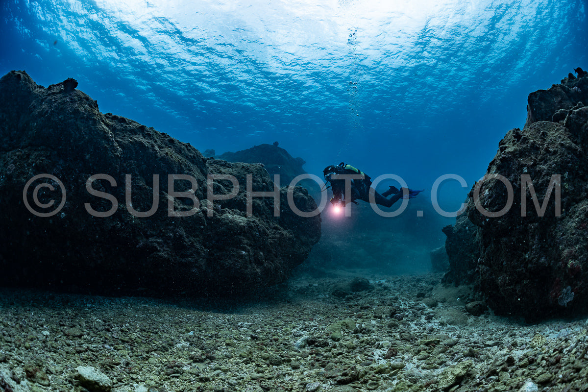 woman diver visiting a coral reef