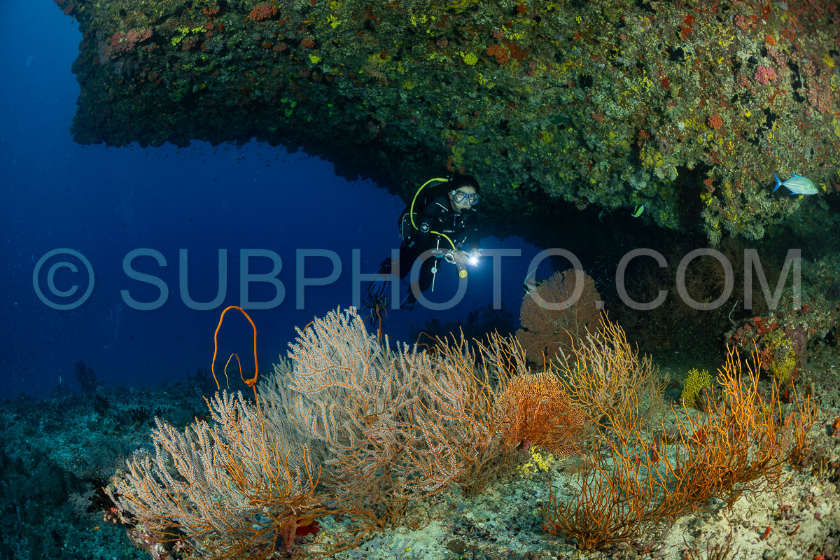 Diver discovering the beauty of the Maldivian coral reefs